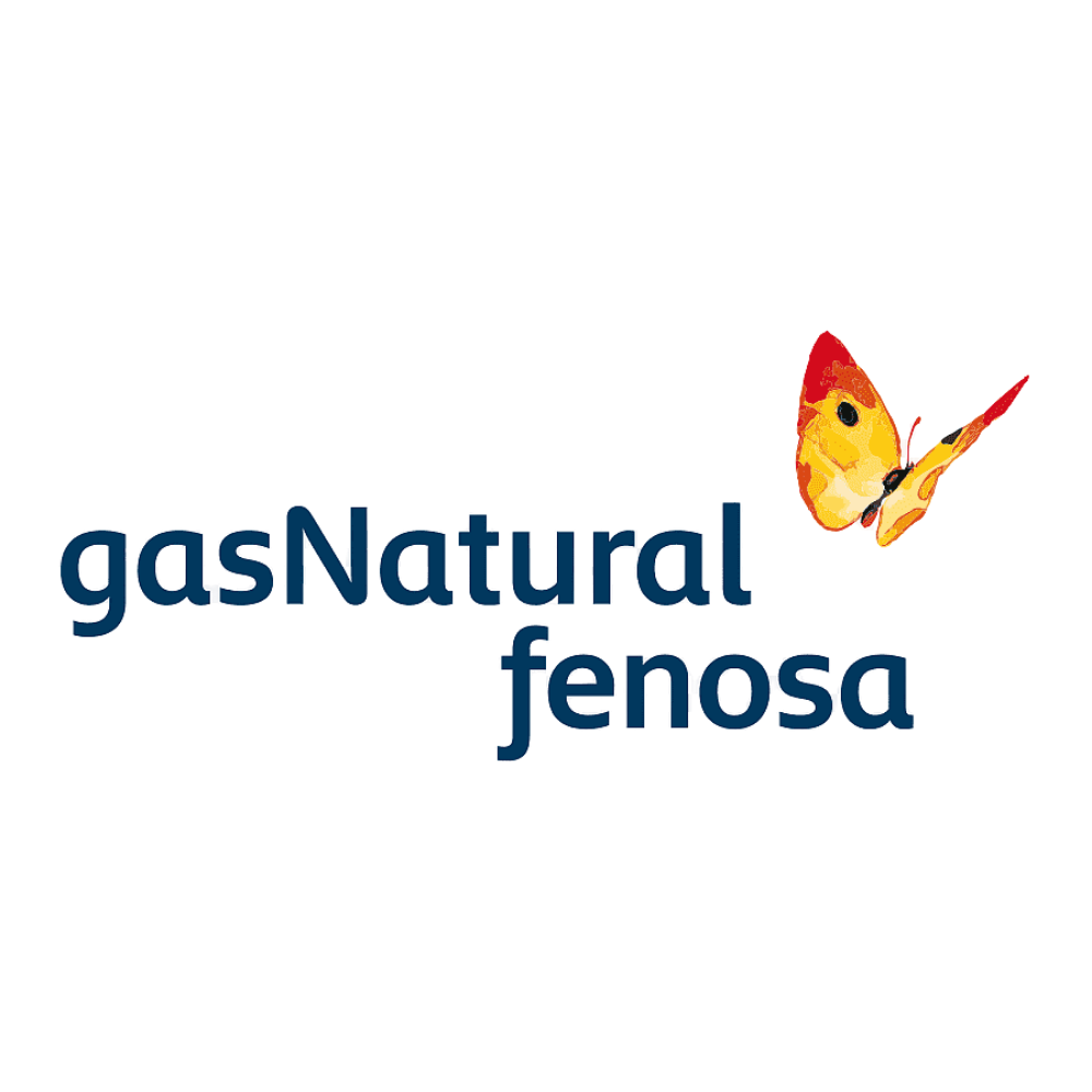 Técnico Instalador de Gas